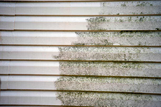 Best Hoarding Cleanup  in Pontiac, IL